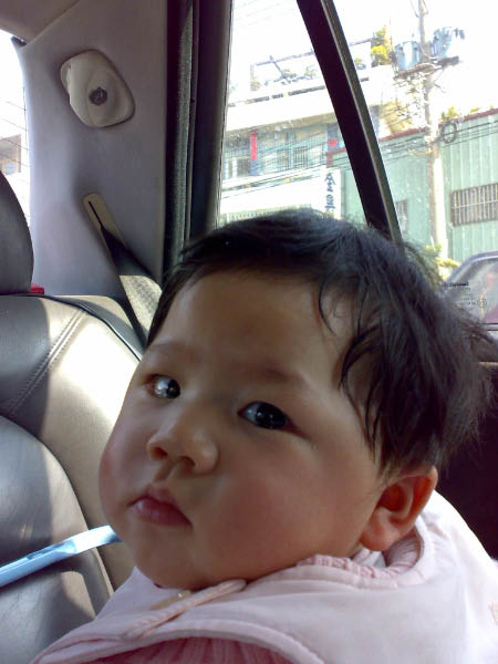 20080220173