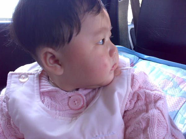 20080220183