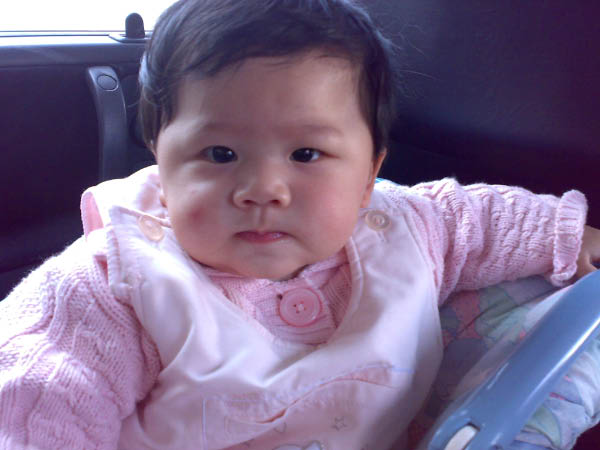 20080220186