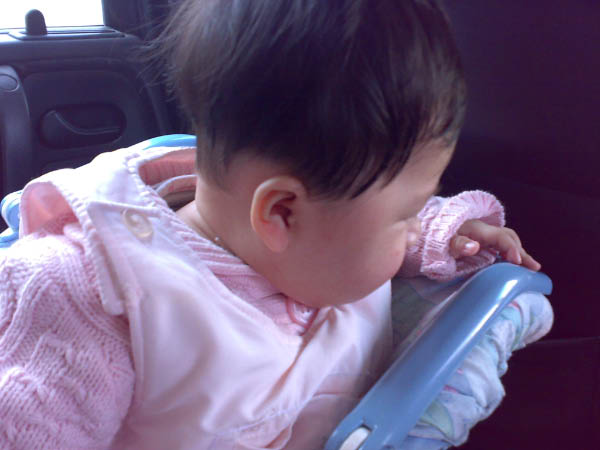 20080220188