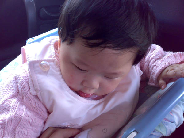 20080220190