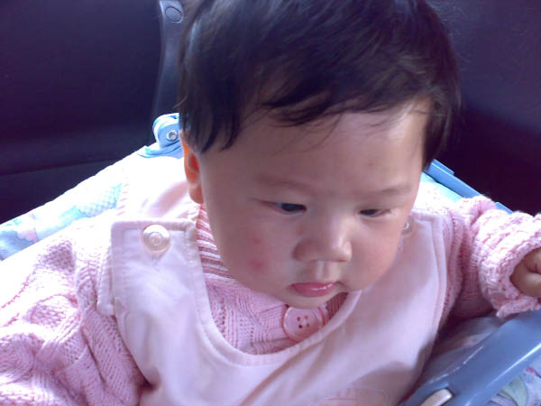 20080220191
