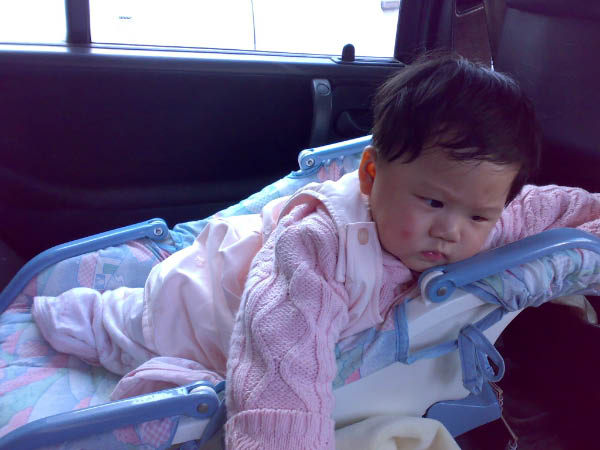 20080220193
