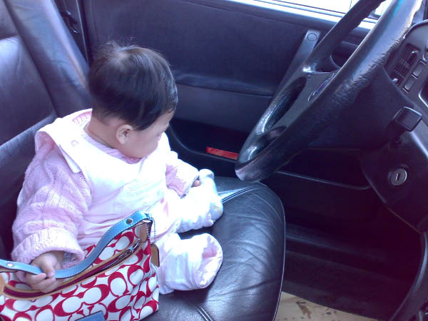 20080220206