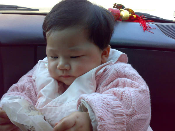 20080220207