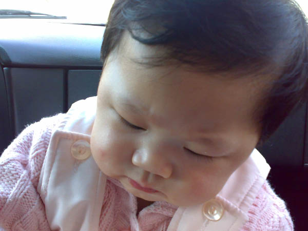 20080220209