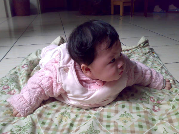 20080220219