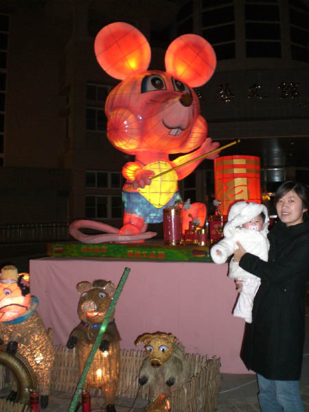 CIMG3553