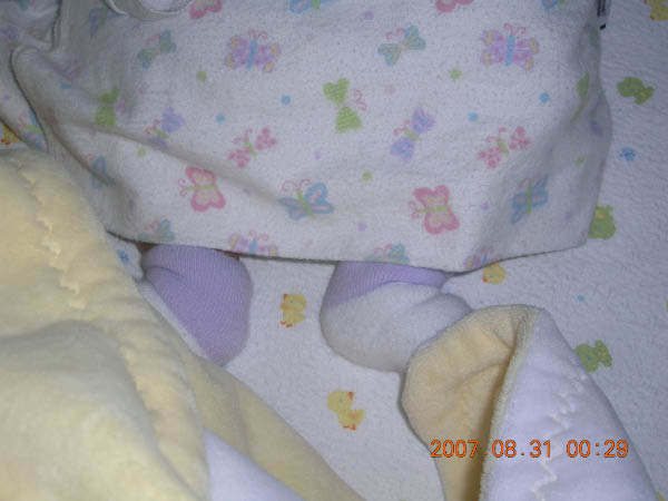 DSCN2091