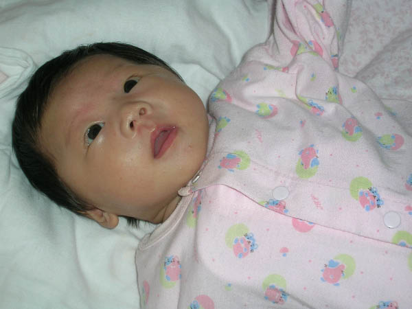 DSCN2590