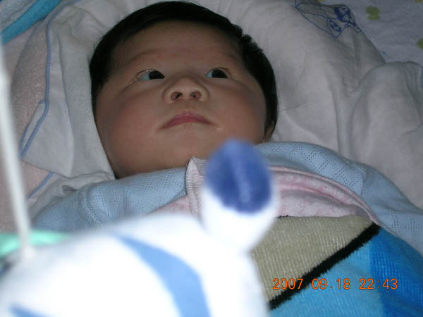 DSCN2909