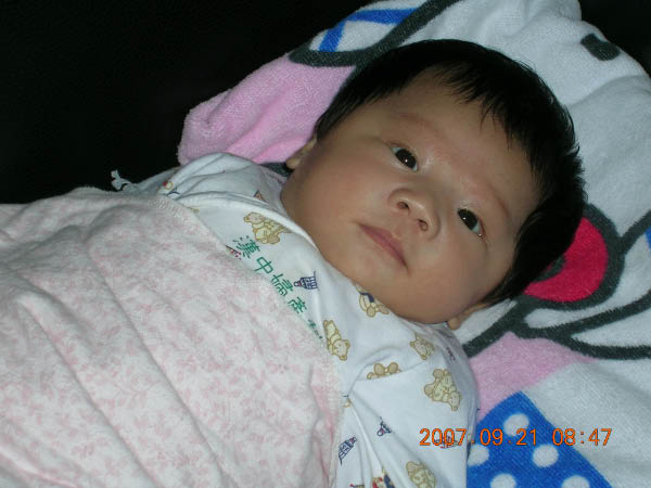 DSCN2960
