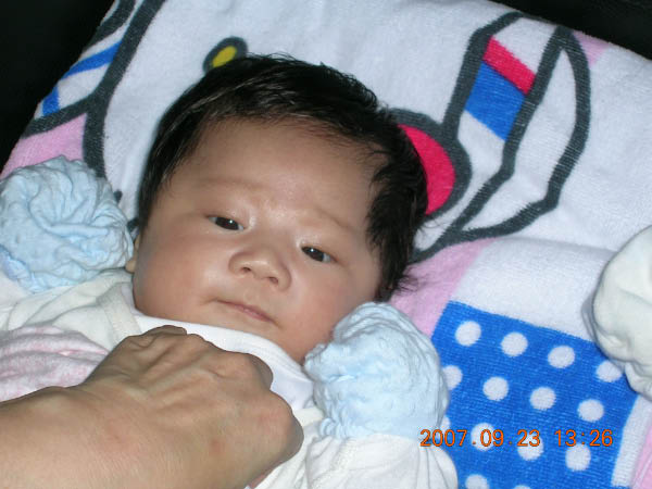 DSCN3061