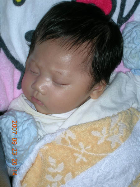 DSCN3073