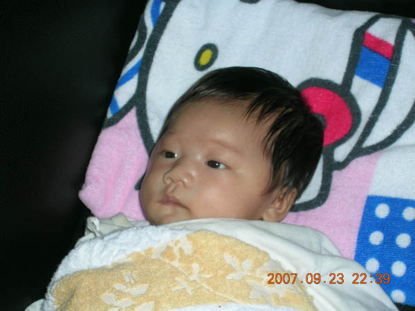 DSCN3085