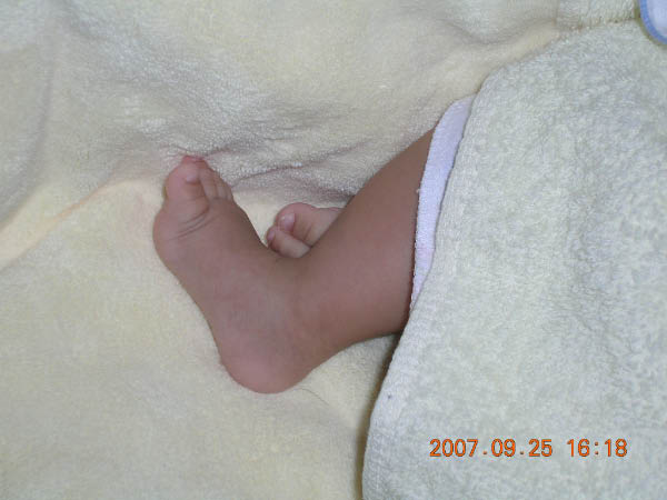 DSCN3174