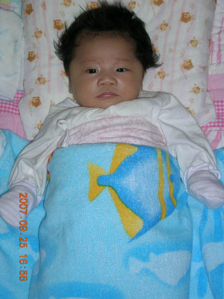 DSCN3177