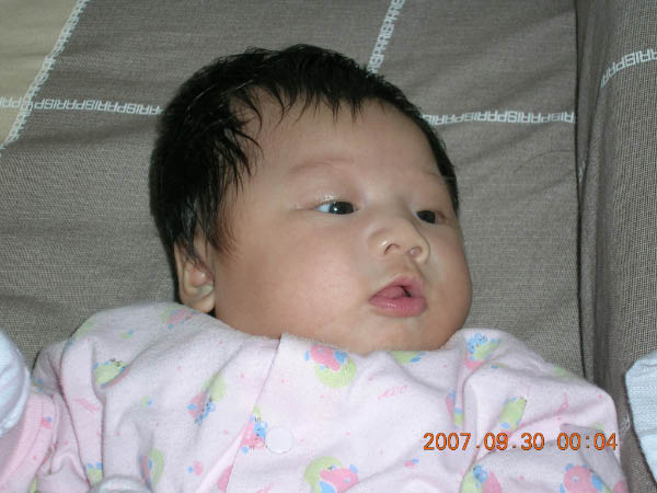 DSCN3351