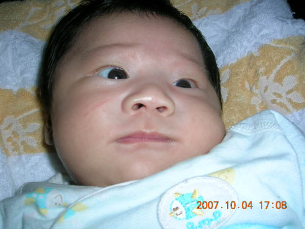 DSCN3510
