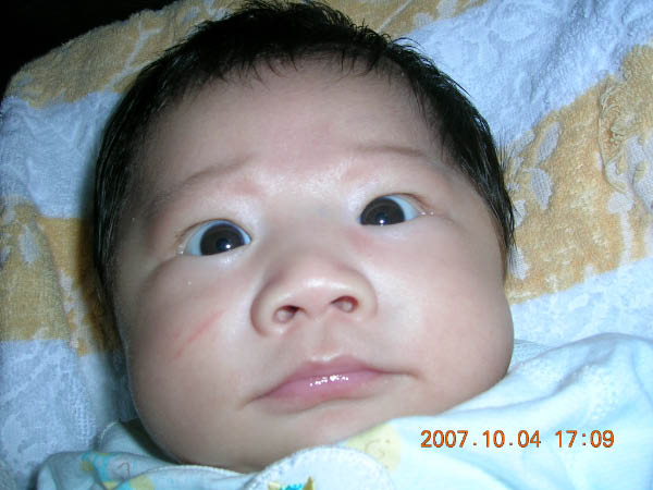 DSCN3512
