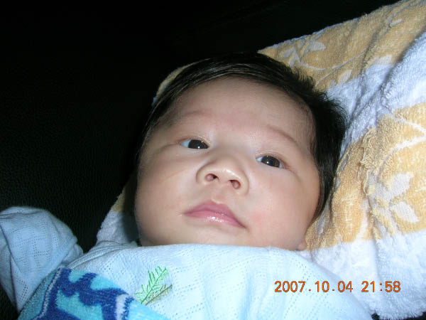DSCN3529
