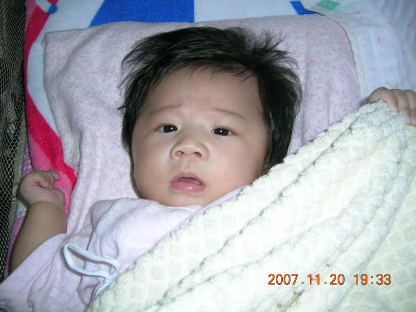 DSCN6009