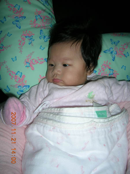 DSCN6085