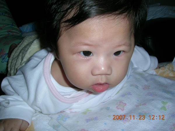 DSCN6204