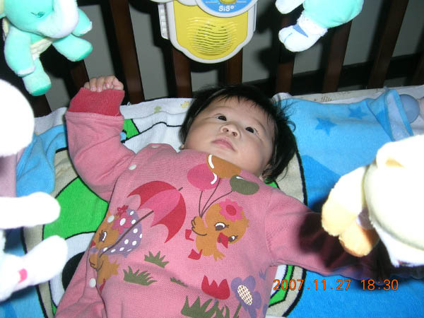 DSCN6512