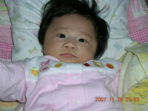 DSCN6550