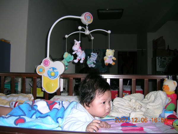 DSCN6871