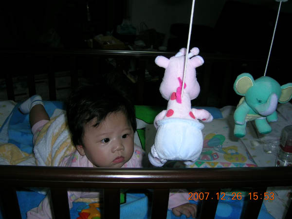 DSCN7676