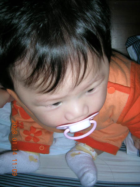 DSCN8478