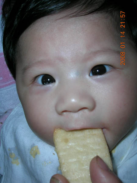 DSCN8521