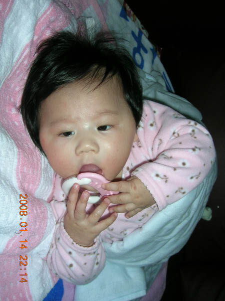 DSCN8525