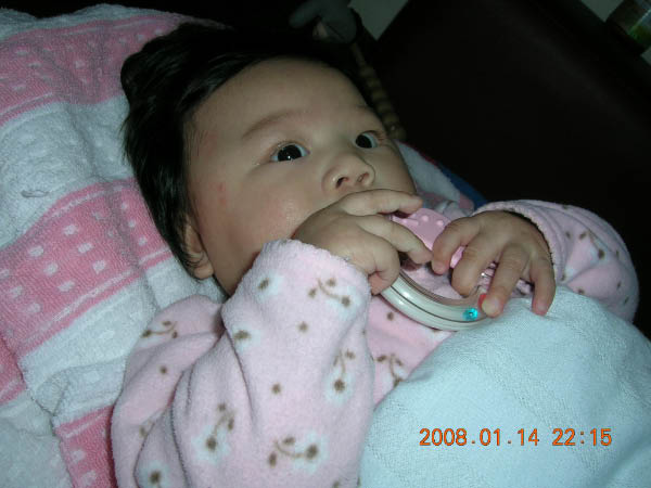 DSCN8529