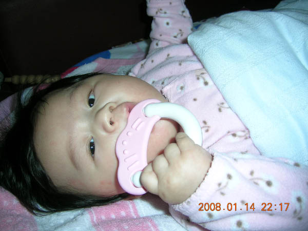 DSCN8537