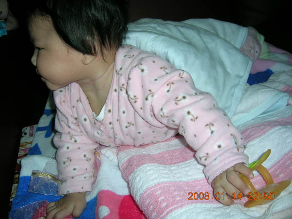 DSCN8558