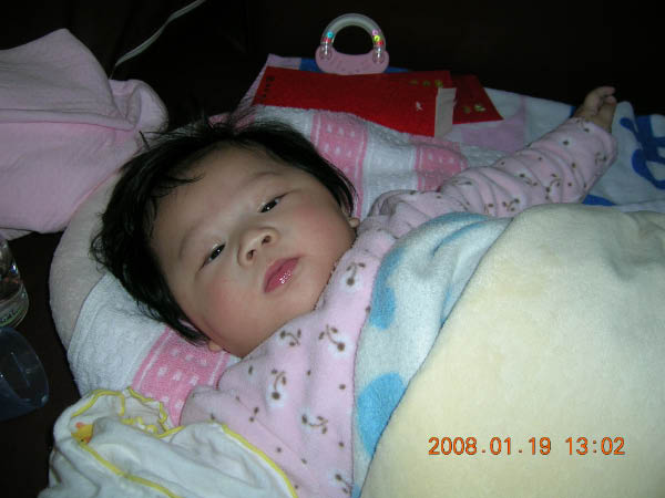 DSCN8729