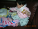 DSCN0299