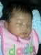 DSCN2214