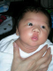 DSCN2434