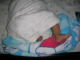 DSCN2490