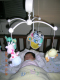 DSCN2810