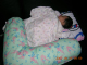 DSCN3092