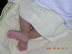 DSCN3168