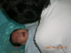 DSCN4150