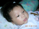 DSCN4774