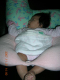 DSCN6087
