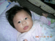 DSCN6248